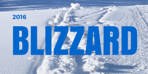 2016Blizzard